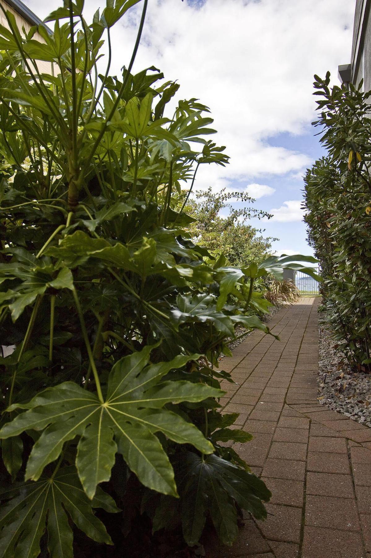 Clearwater Motor Lodge Taupo Ngoại thất bức ảnh